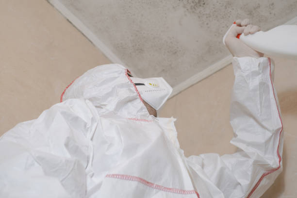 Best Office Mold Removal Services  in Bethany, OK