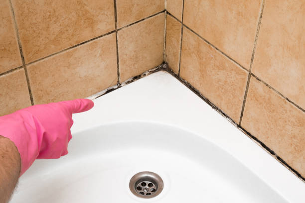 Office Mold Removal Services in Bethany, OK